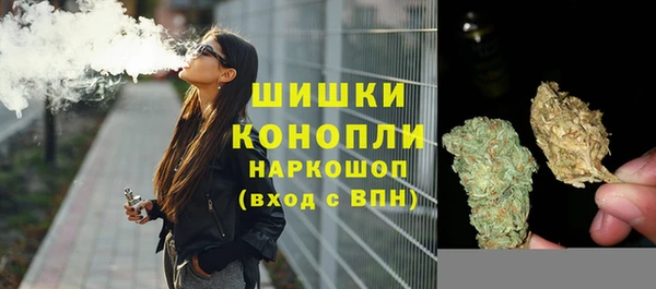 ГАЛЛЮЦИНОГЕННЫЕ ГРИБЫ Беломорск