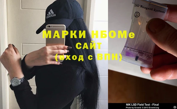 прущие грибы Белокуриха