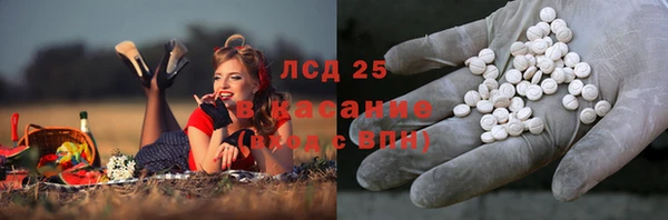 ГАЛЛЮЦИНОГЕННЫЕ ГРИБЫ Беломорск