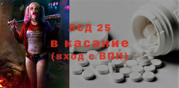 прущие грибы Белокуриха