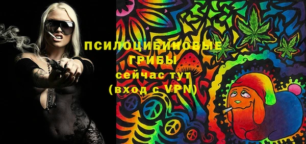 ГАЛЛЮЦИНОГЕННЫЕ ГРИБЫ Беломорск
