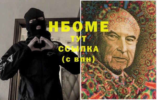 прущие грибы Белокуриха