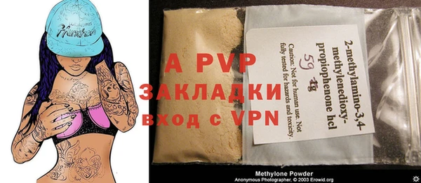 прущие грибы Белокуриха
