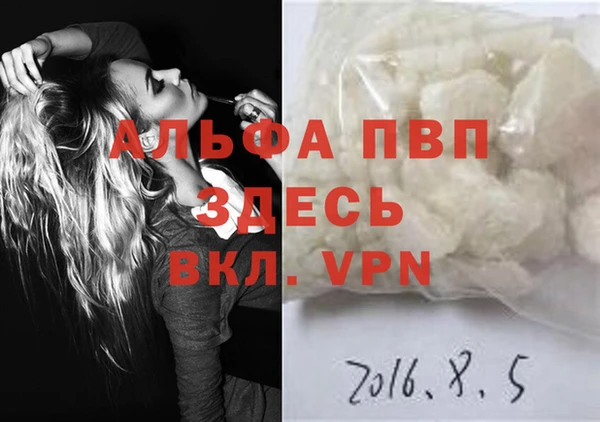 прущие грибы Белокуриха