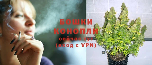 прущие грибы Белокуриха