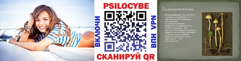 Псилоцибиновые грибы ЛСД  наркошоп  Вытегра 